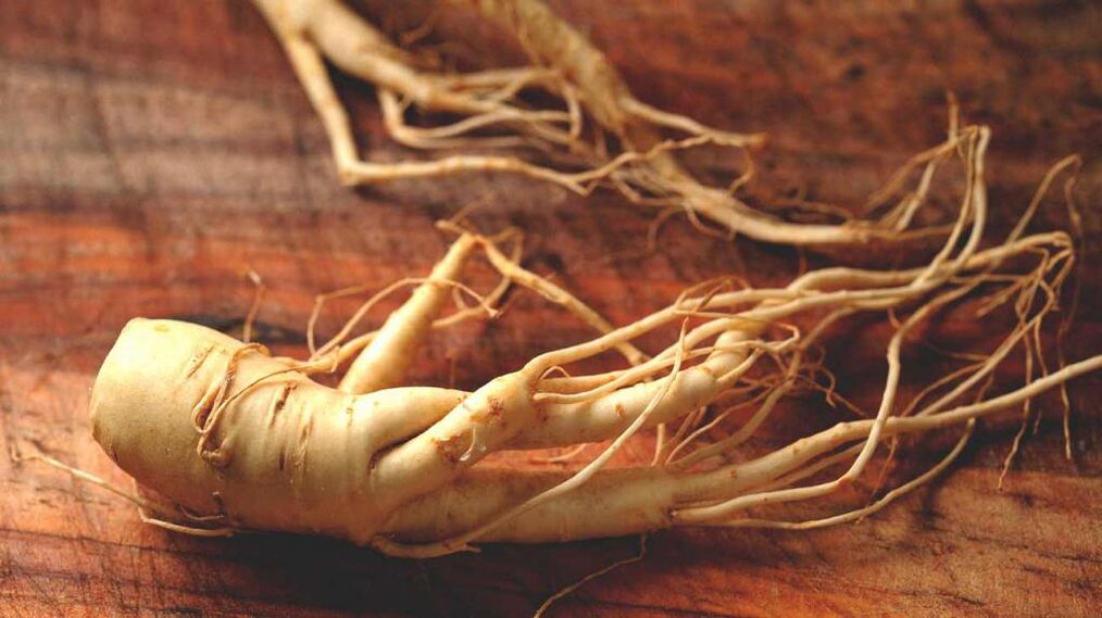 Raíz de ginseng para aumentar a potencia